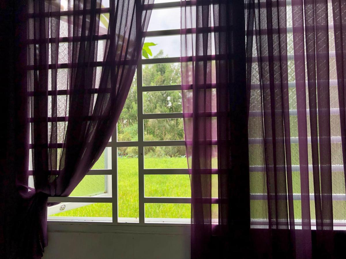 Huong Tram Homestay Ho Da Exterior foto