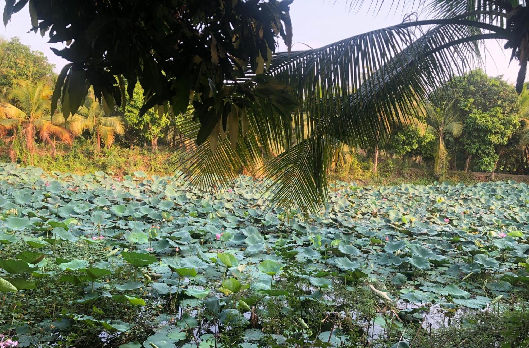 Huong Tram Homestay Ho Da Exterior foto